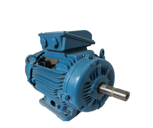 W22進(jìn)口電機(jī) W22進(jìn)口電機(jī)