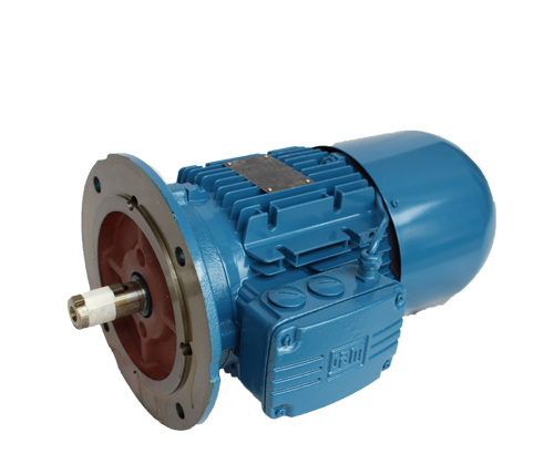 WEG制動電機 WEG制動電機