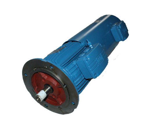 WEG變頻電機(jī) WEG變頻電機(jī)