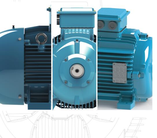 WEG低壓電機(jī)W20