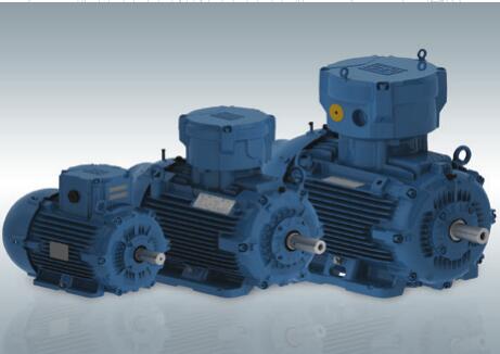 W22xd防爆電機(jī)