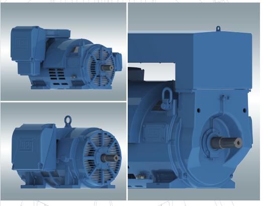 WEG高壓電機(jī)W40