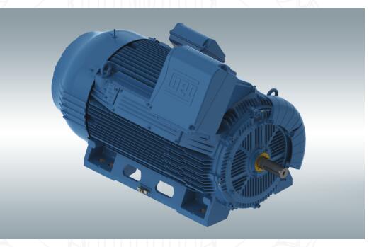 WEG高壓電機(jī)W50